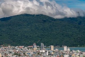 Vertical Forests: When Architecture Meets Urban Ecology