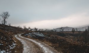 Alpine Cheese Making: Mountain Dairy Experiences